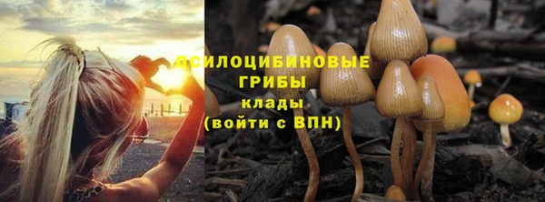 бутик Пересвет