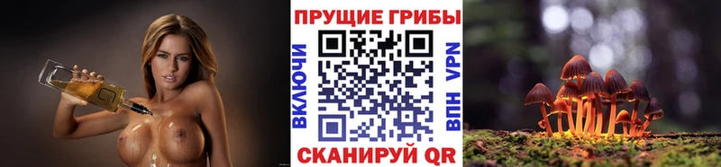 Купить где  Усинск  Псилоцибиновые грибы мицелий 